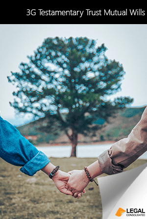 3-Generation Testamentary Trust Mutual Wills